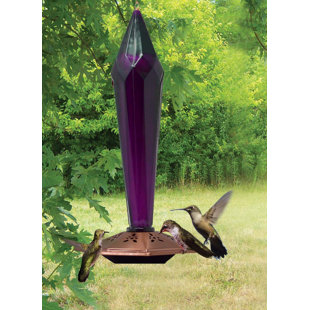 Hummingbird Feeder Stands Wayfair
