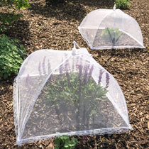 6Pack Large Pop Up Mesh Screen Food Cover for Outdoors,17x17Inches Food Tents & 