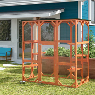 Cat Cages Playpens You Ll Love Wayfair Lowery Cat Cage With Door