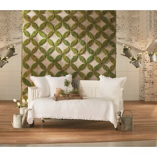 Framed Panel Twin Daybed By Magnolia Home