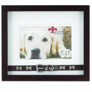 Dog Collar Picture Frame