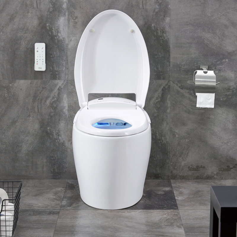 Ove Decors Tuva Smart Toilet 20 Floor Mount Bidet Reviews Wayfair
