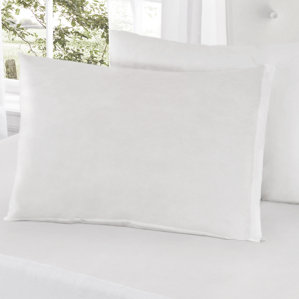 All-In-One Bed Bug Pillow Protector (Set of 2) by Alwyn Home