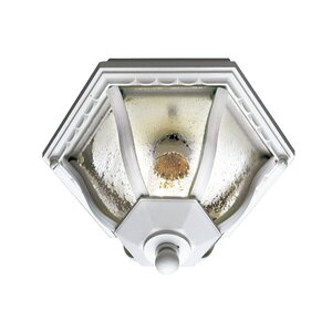 Outdoor 1-Light Flush Mount