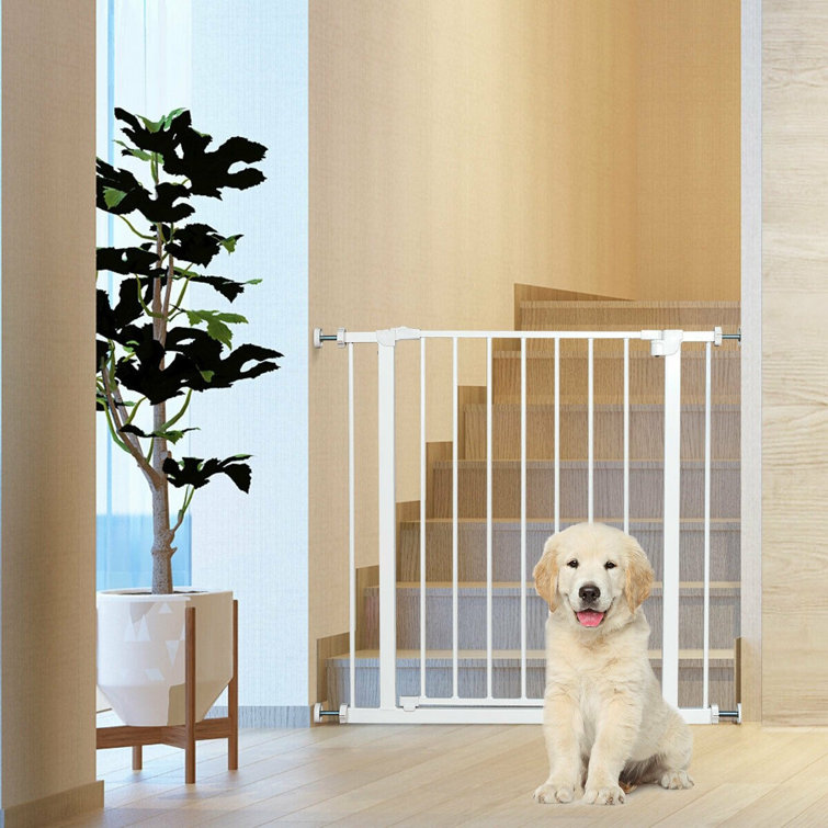 pet safety gate