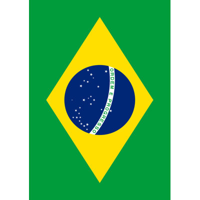 Brazil Garden flag Toland Home Garden