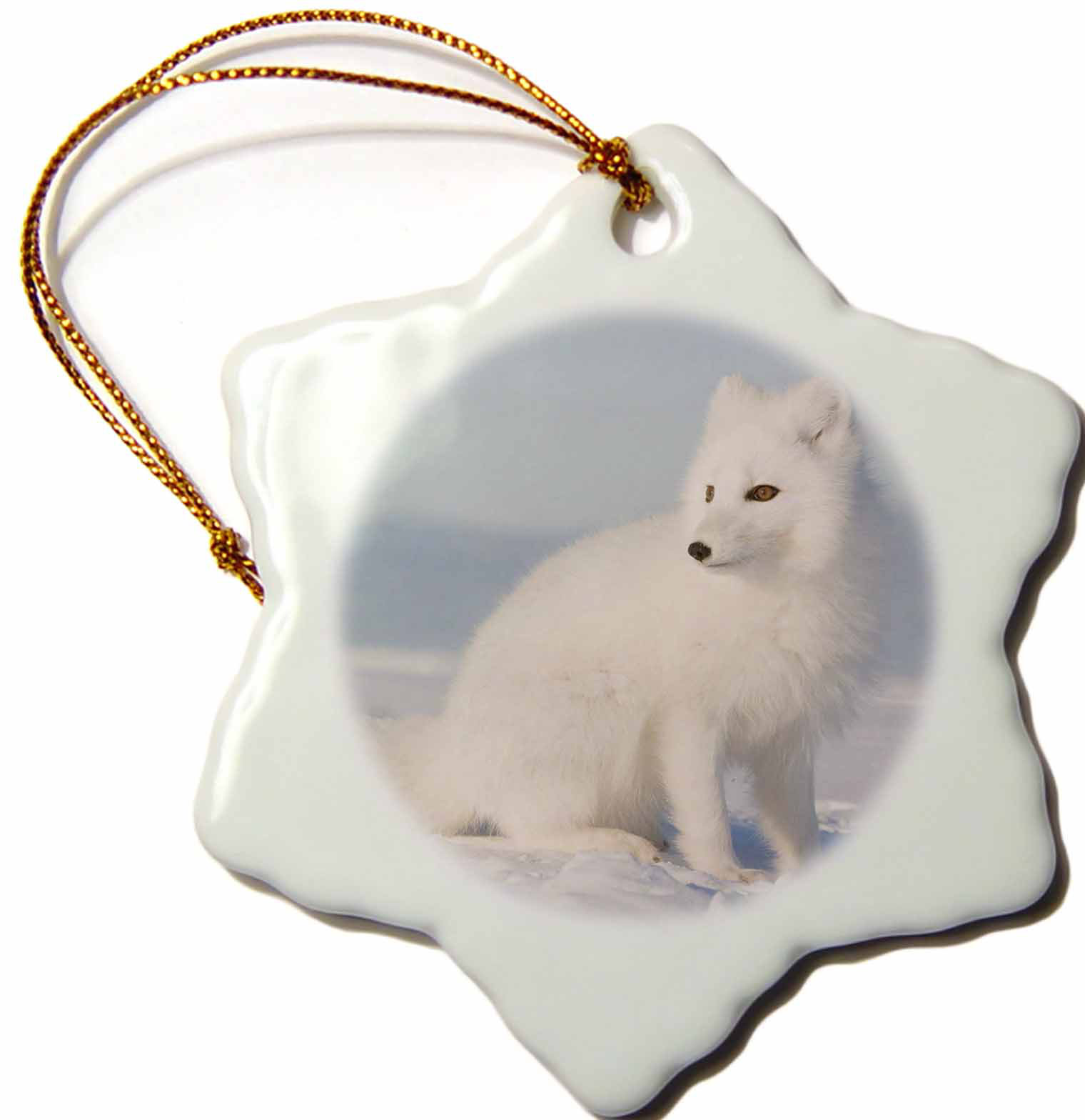 The Holiday Aisle Snowflake Ornament Alaska 1002 Coastal Plain Anwr Arctic Fox 3 Inches Wayfair