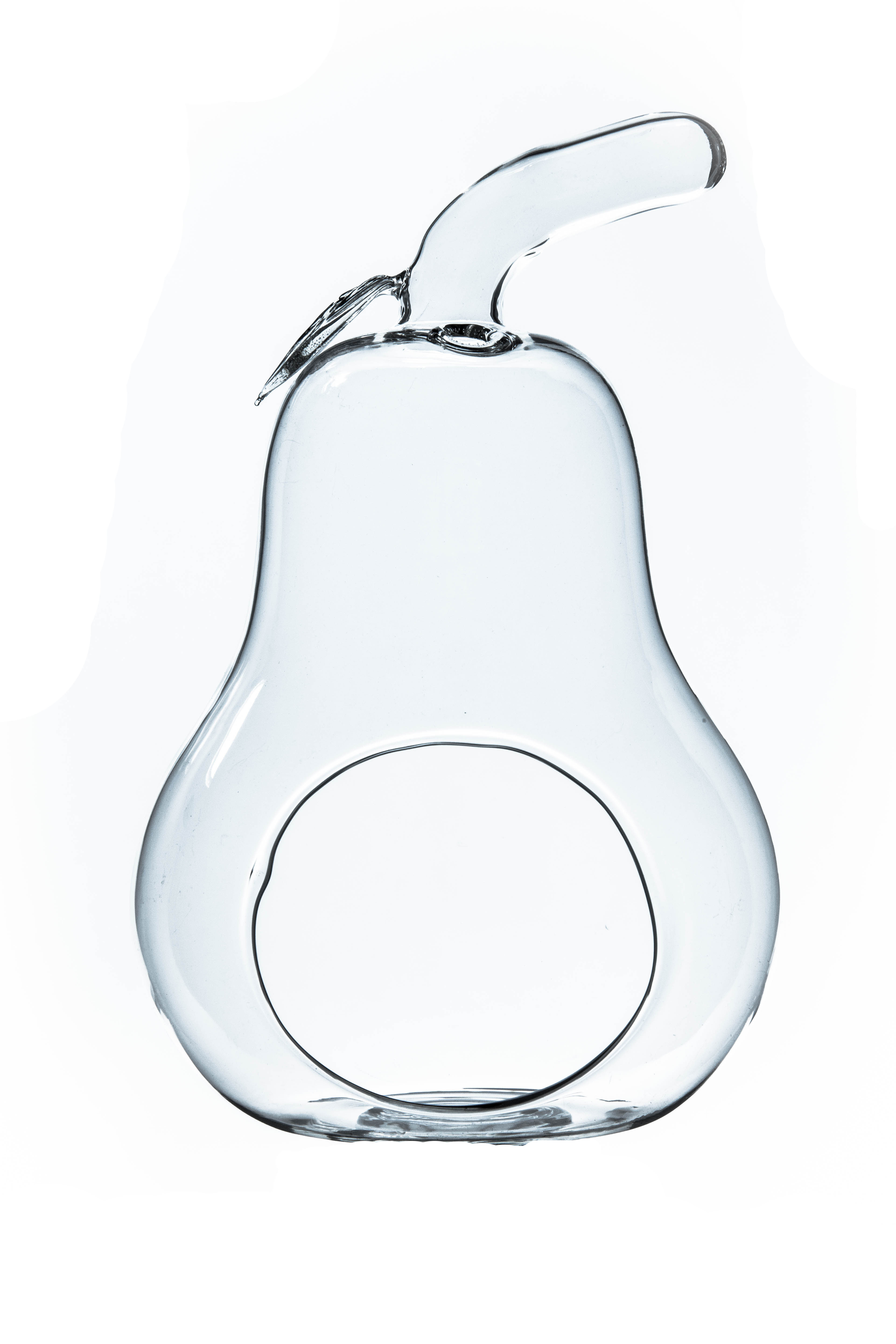 Wrought Studio Latchford Pear Glass Terrarium Wayfair