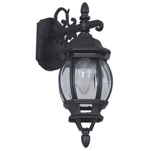 French 1-Light Outdoor Wall Lantern