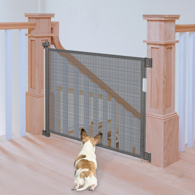 outdoor retractable pet gate