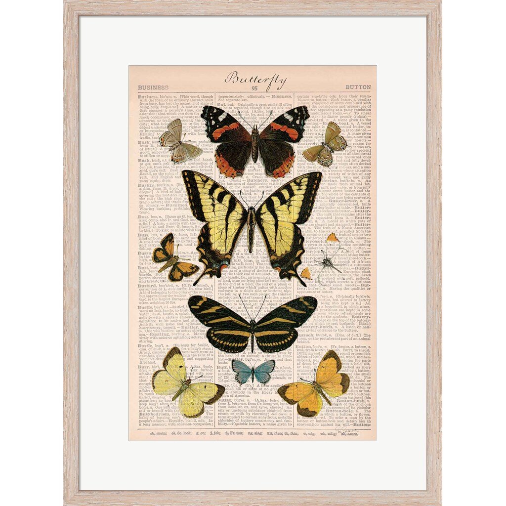 Rosalind Wheeler American Butterflies I by Sue Schlabach - Picture ...