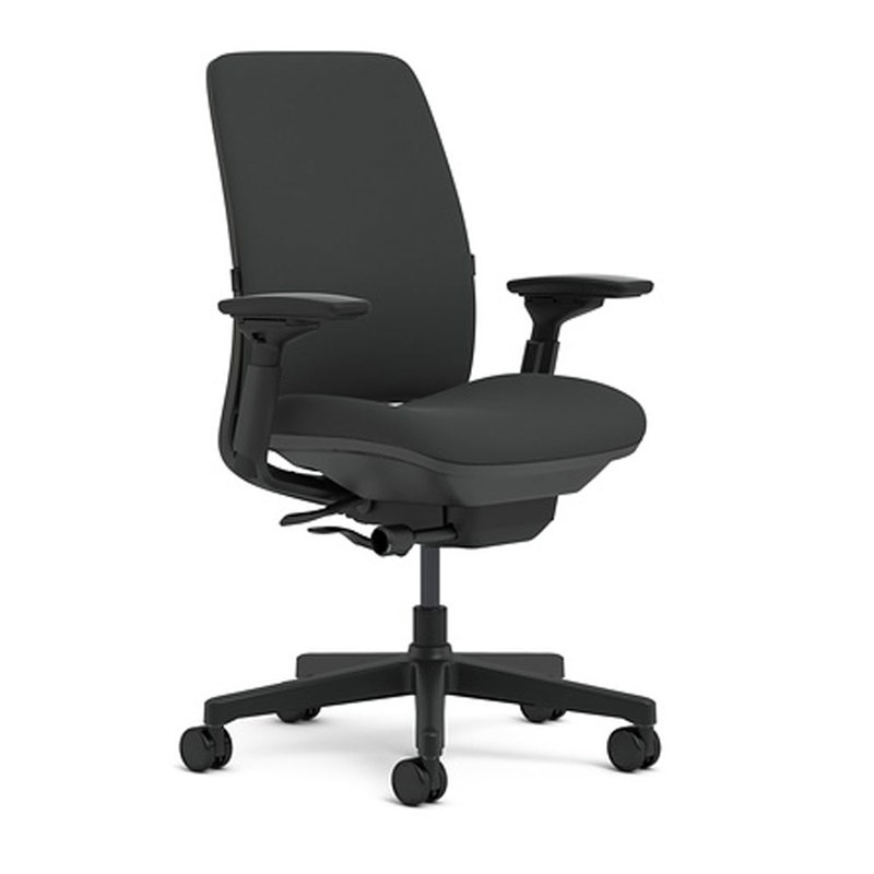 Steelcase Amia Ergonomic Task Chair Reviews Wayfair