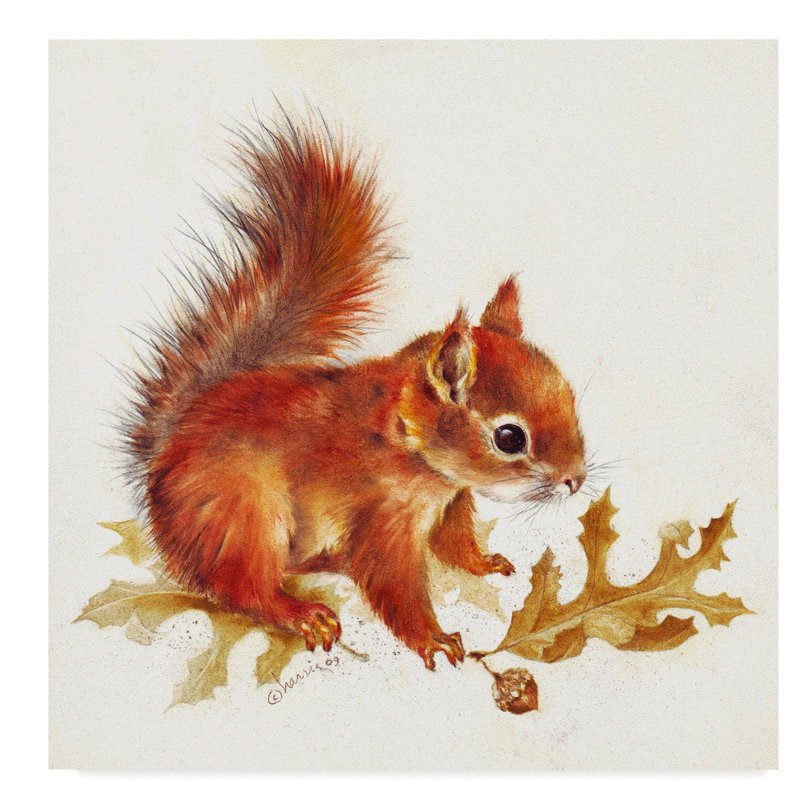 Winston Porter Red Squirrel Centered Acrylic Painting Print On