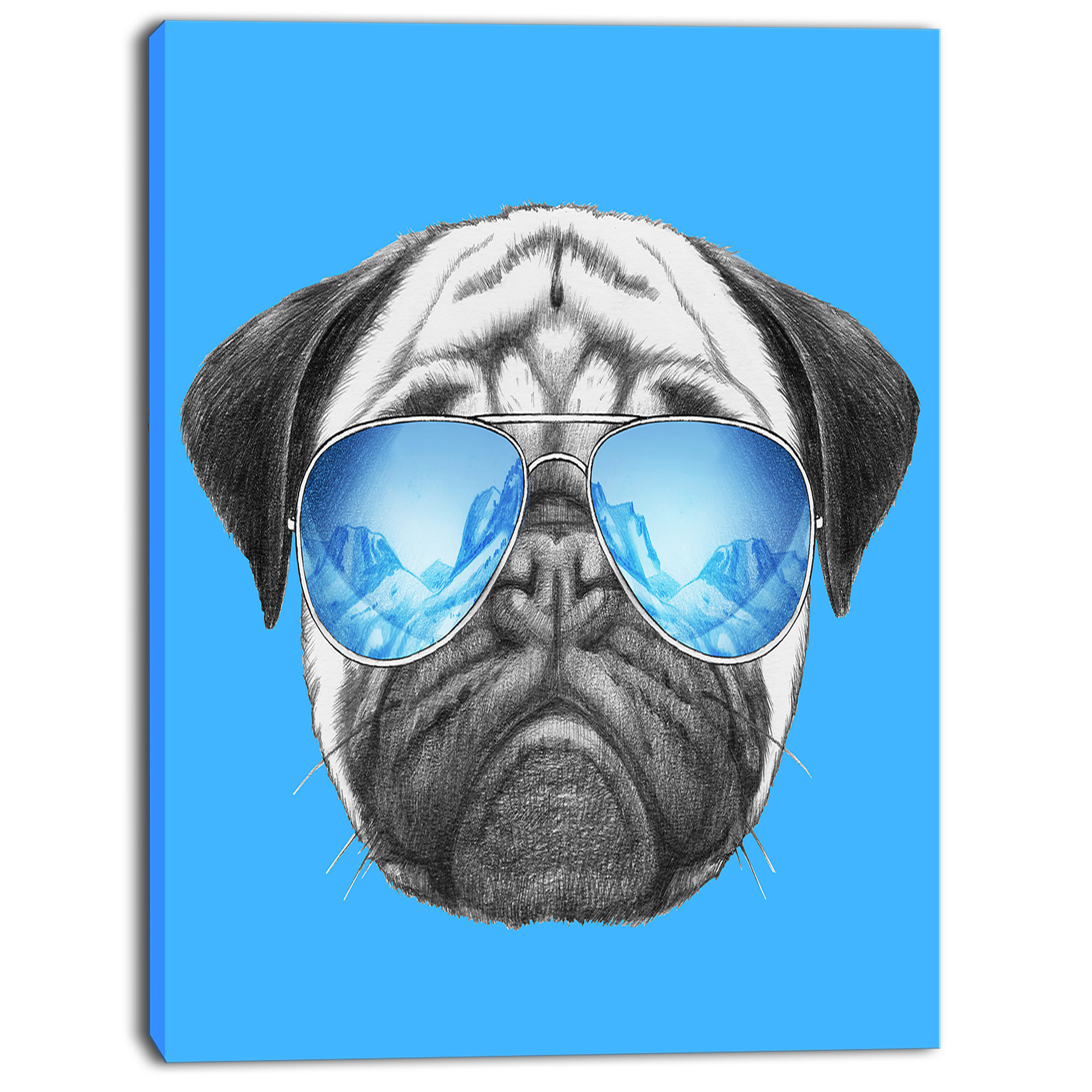 pug dog sunglasses