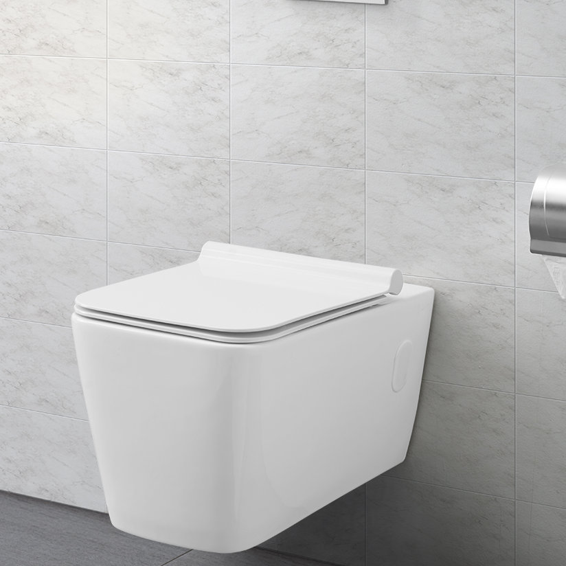 Concorde Dual Flush Elongated Wall Mount Toilet Seat Included Concorde Dual Flush Elongated Wall Mount Toilet Seat Included