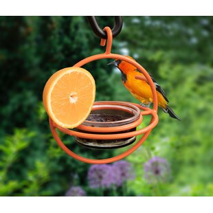 Vintage Oriole Seed Feeder Nectar Orange Carnival Glass Circular Perch Hanging 