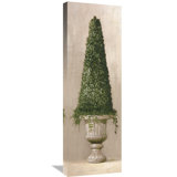 Topiary Painting Wayfair