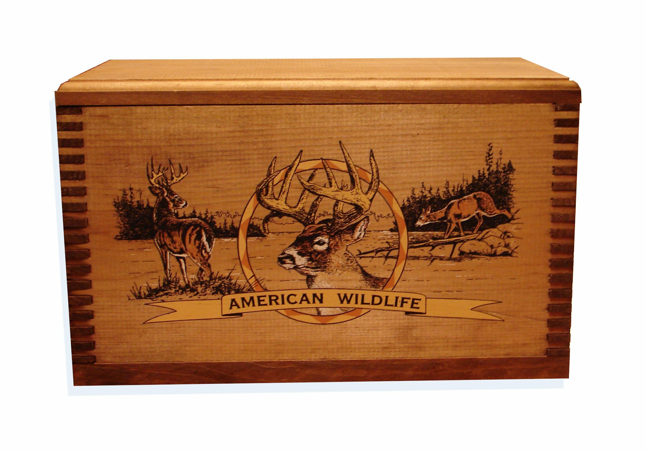 River Otter Oak Jewellery Box 6x4 Photo Window FREE Engraving Wildlife Gift 252 