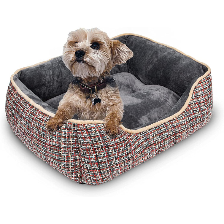 small puppy bed