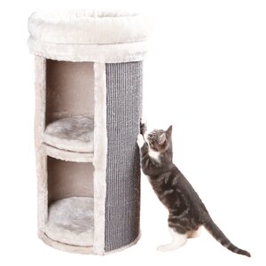 Mexia 2 Story Cat Tower Scratching Post