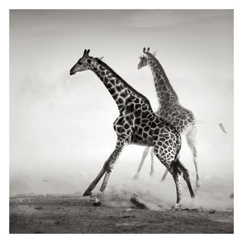 Giraffe Hunt 1.92m x 1.92m Textured Matte Peel & Stick Wall Mural East Urban Home