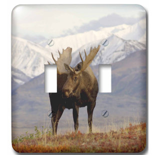 Moose Light Switch Covers Wayfair