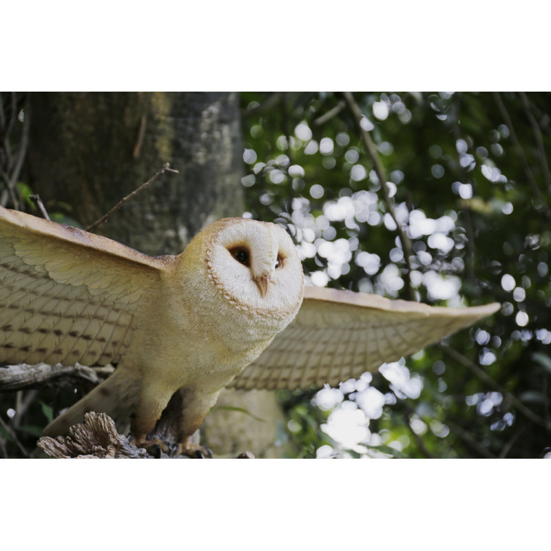 Hi Line Gift Ltd Barn Owl Flying Statue Wayfair