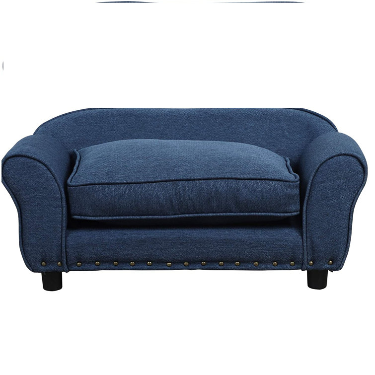 blue dog sofa