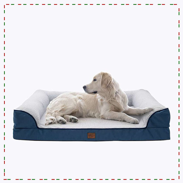 dog bed for arthritis