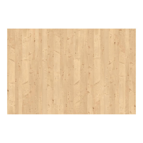Apple Birch 2.9m x 4.32m Textured Matte Peel & Stick Wall Mural East Urban Home