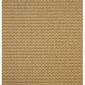 Tan Area Rug