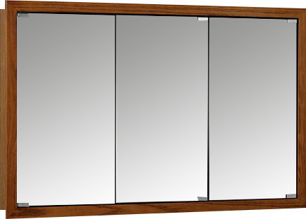 Rebrilliant Ulises 48" x 30" Surface Mount Framed Medicine ...