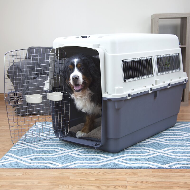 xxl plastic dog crate