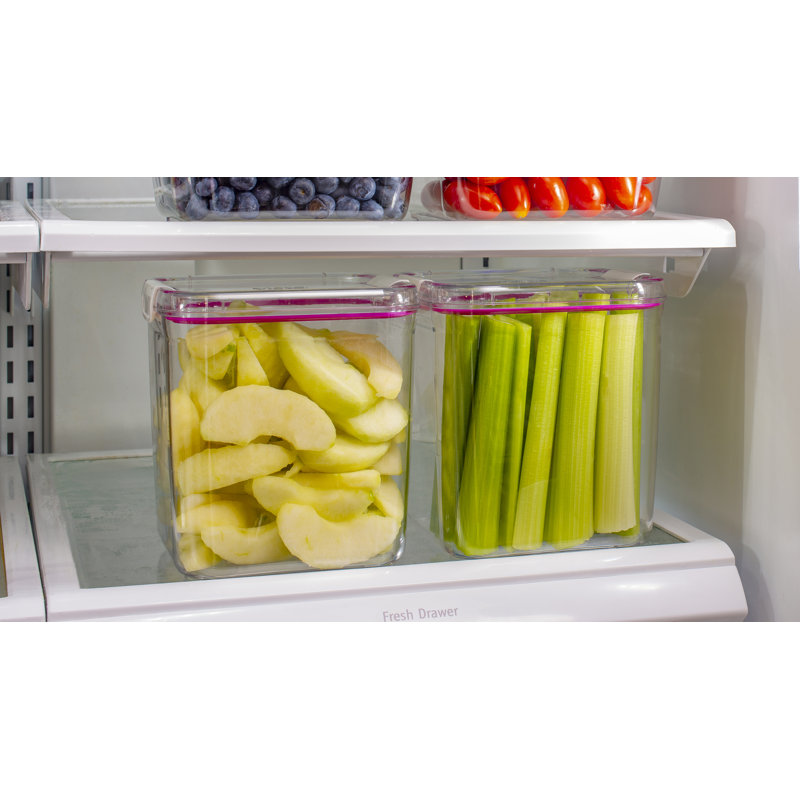 Rebrilliant Elkins Max Cube 2 6 Qt Food Storage Container Wayfair