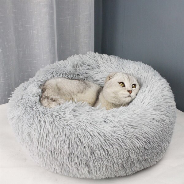 Tucker Murphy™ Pet Cat Beds & Reviews | Wayfair.ca