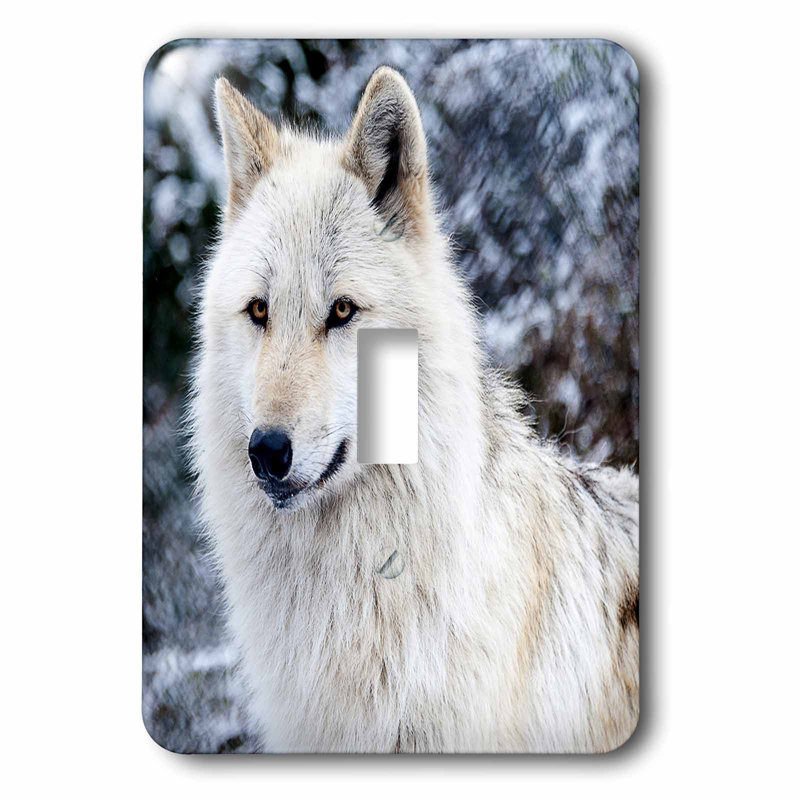 3drose Rocky Mountain Wolf 1 Gang Toggle Light Switch Wall Plate Wayfair