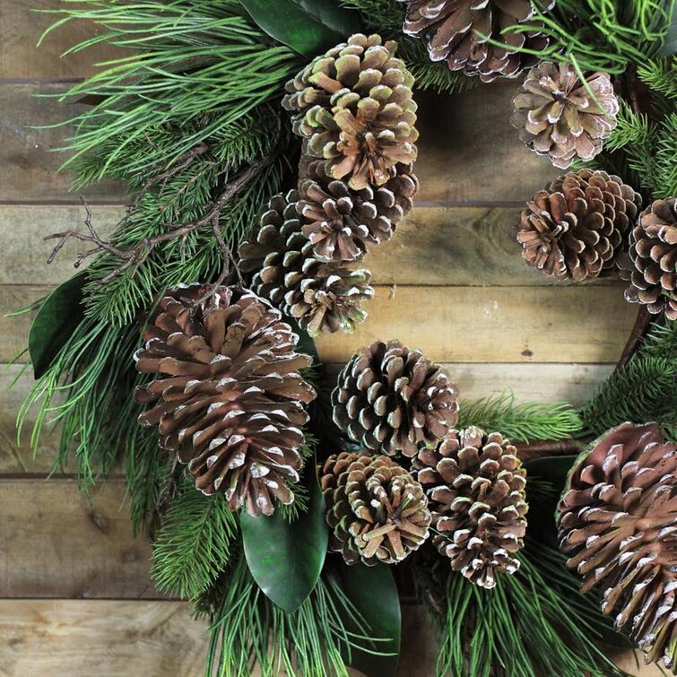 Northlight 28 Monalisa Mixed Pine with Large Pine Cones and Foliage Christmas Wreath Unlit