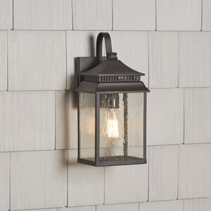 Briarfield 1-Light Outdoor Wall Lantern