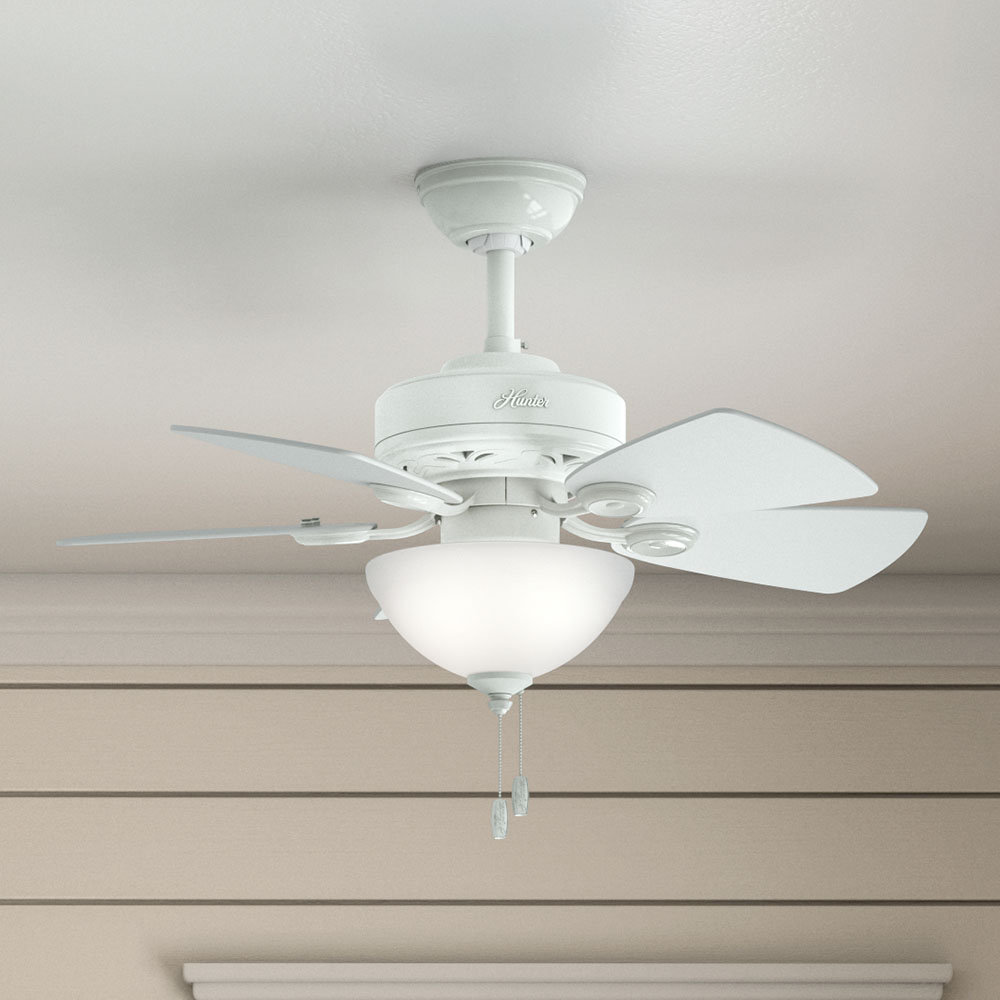 Hunter Fan 34 Watson 5 Blade Ceiling Fan Light Kit Included