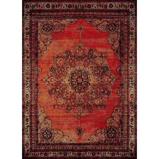 Indoor Outdoor Oriental Rugs You Ll Love Wayfair Auston Anti Bacterial Orange Brown Indoor Outdoor Area Rug