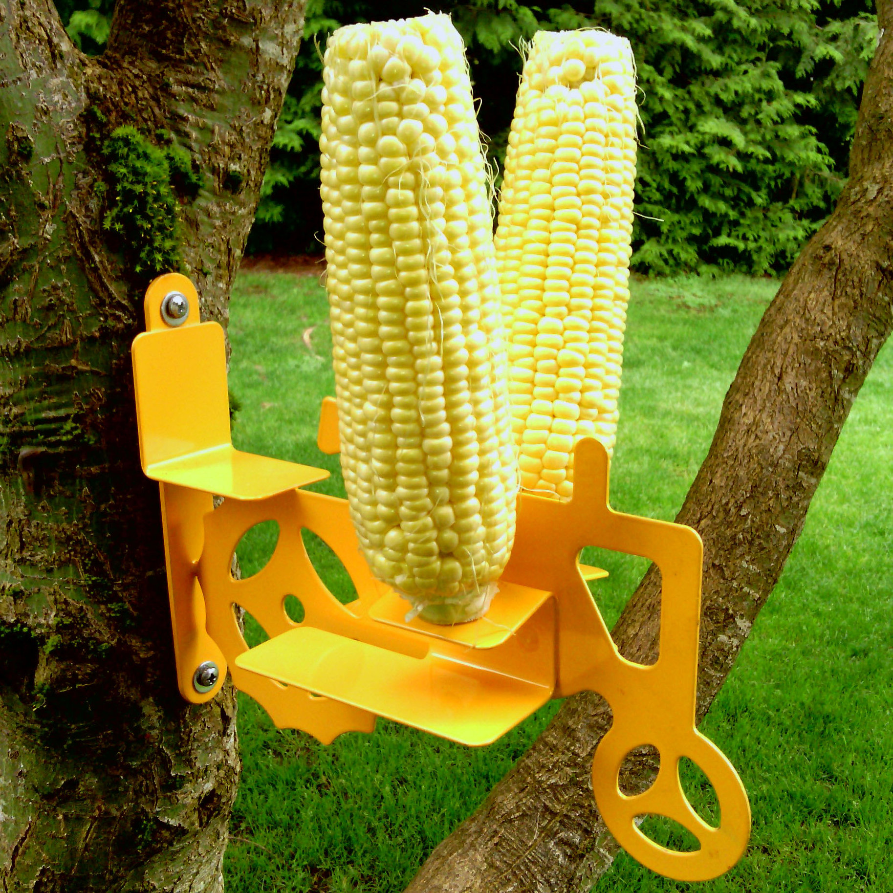 Zenport Tractor Cob Squirrel Feeder Wayfair
