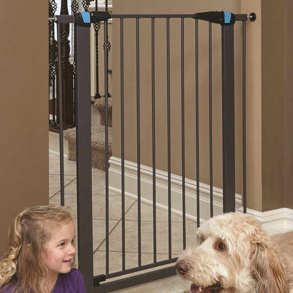 midwest steel pet gate