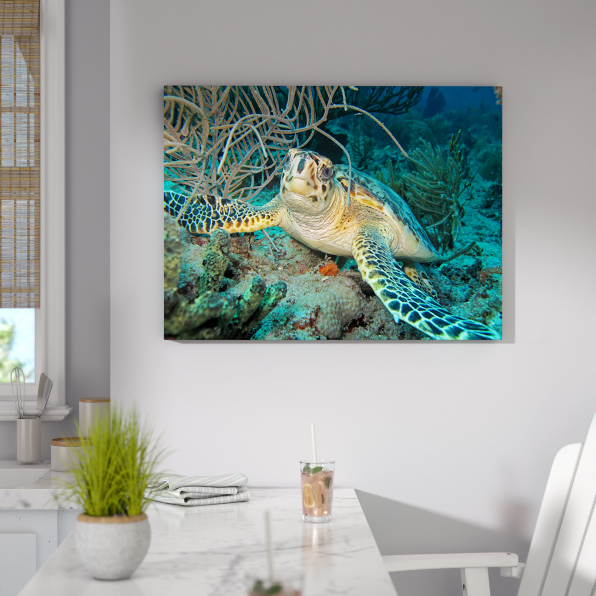 Gallery Wrapped Canvas Turtle Wall Art You Ll Love In 2020 Wayfair