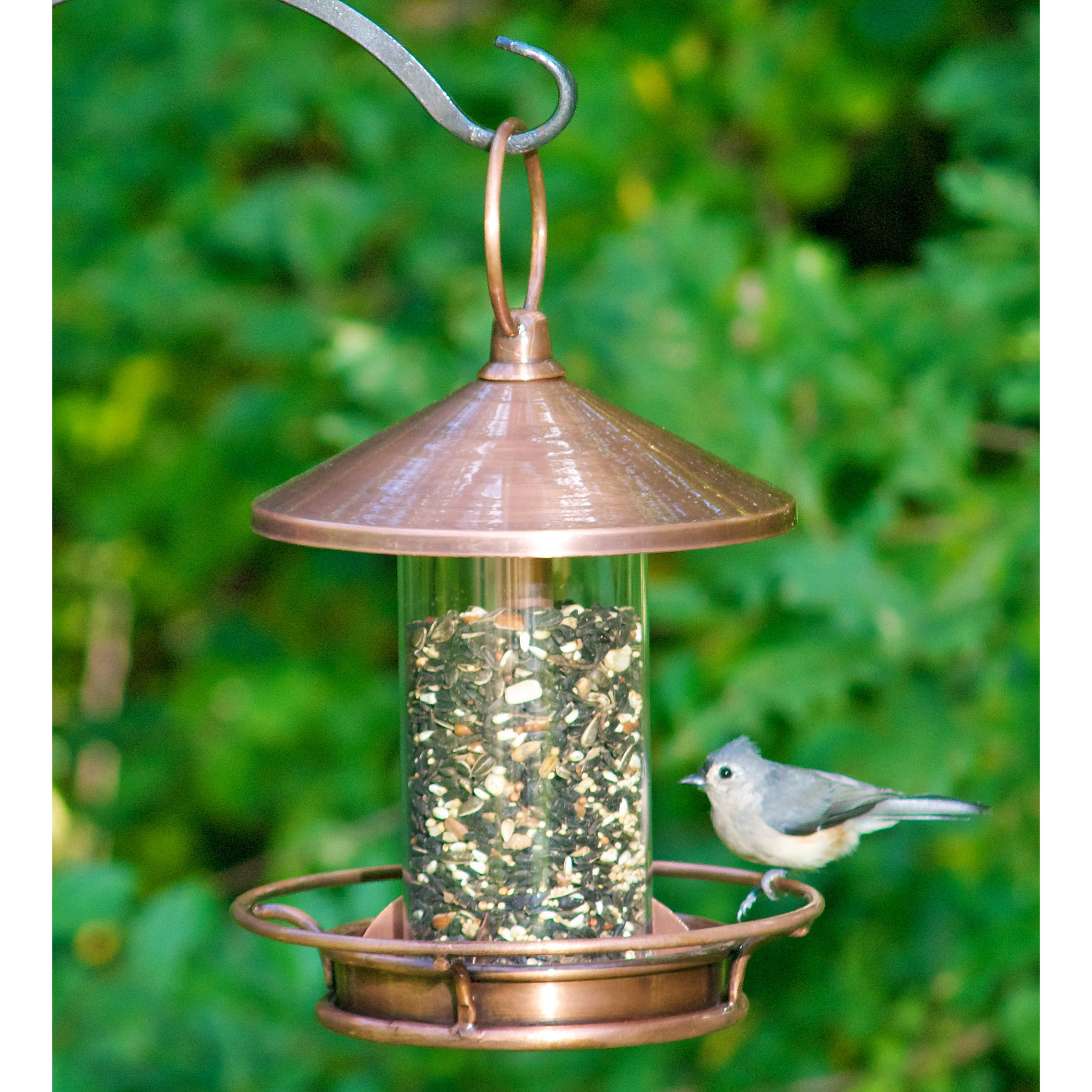 Good Directions Classic Perch Tube Bird Feeder Wayfair
