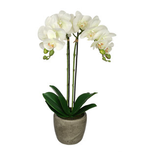 Artificial Flower Arrangements You Ll Love Wayfair Quickview