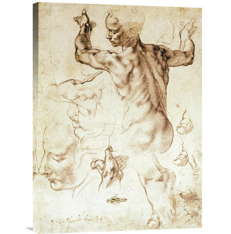 Global Gallery Anatomy Sketches Libyan Sibyl By Michelangelo