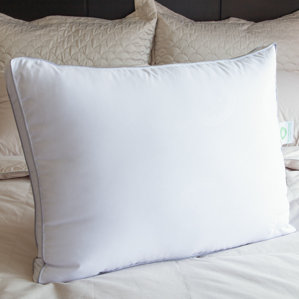 Gel Fiber Pillow by Nikki Chu