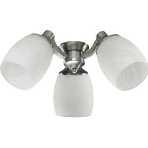 3-Light Branched Ceiling Fan Light Kit