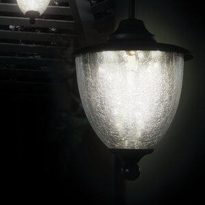 Fellsburg 5-Light Outdoor Pendant