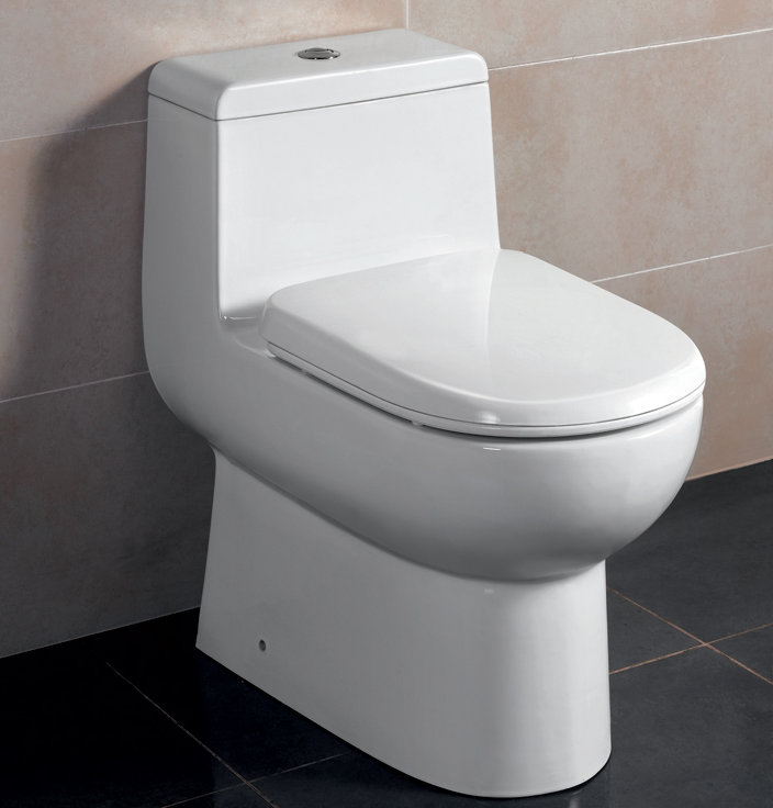 Ariel Bath Platinum Camilla Dual Flush Elongated One Piece Toilet Ariel Bath Platinum Camilla Dual Flush